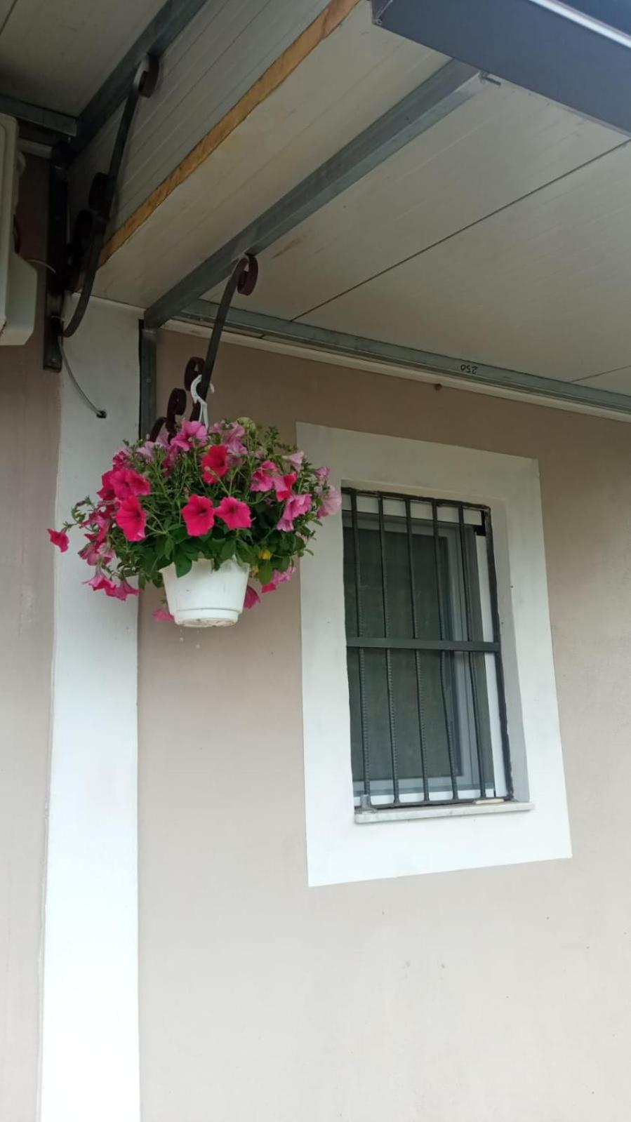 埃尔科拉诺A Casa Di Nonna Anna别墅 外观 照片